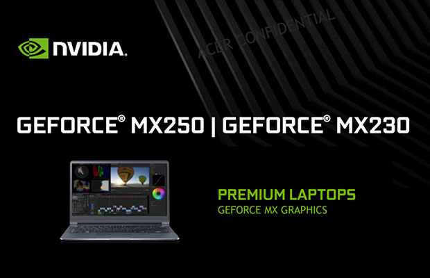 Nvidia GeForce MX250 (1D13 or 1D52 
